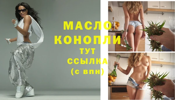молекула духа Бородино