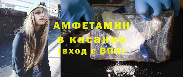 молекула духа Бородино